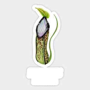 Carnivorous Pitcher Plant Shirt Gift Nepenthes Hamta Sticker